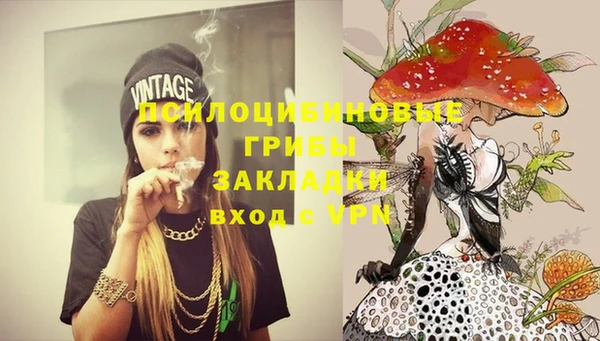 ГАЛЛЮЦИНОГЕННЫЕ ГРИБЫ Алексин