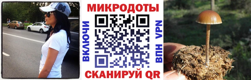Псилоцибиновые грибы Psilocybe  даркнет наркотические препараты  Щёлково 
